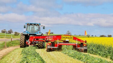 Vetch Canola hay